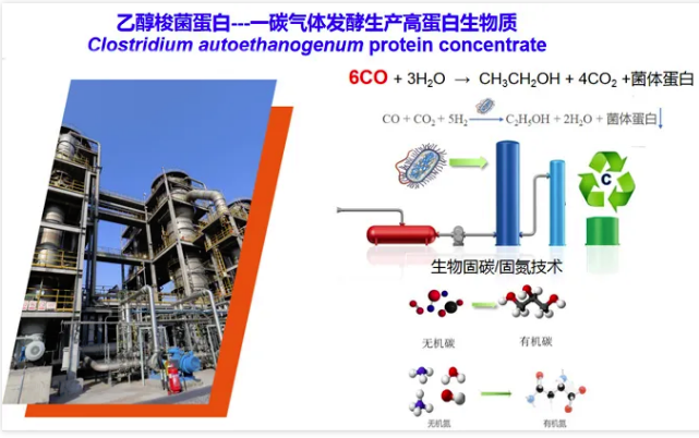 國際首次！一氧化碳合成蛋白質(zhì)，已形成萬噸級(jí)工業(yè)產(chǎn)能 中國化工網(wǎng),okmart.com